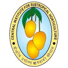 CISH Rehmankhera logo