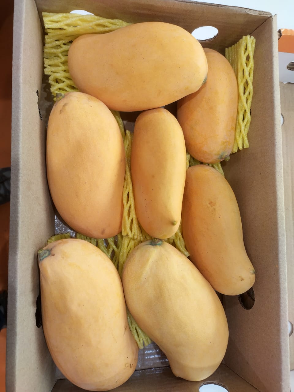 Mango