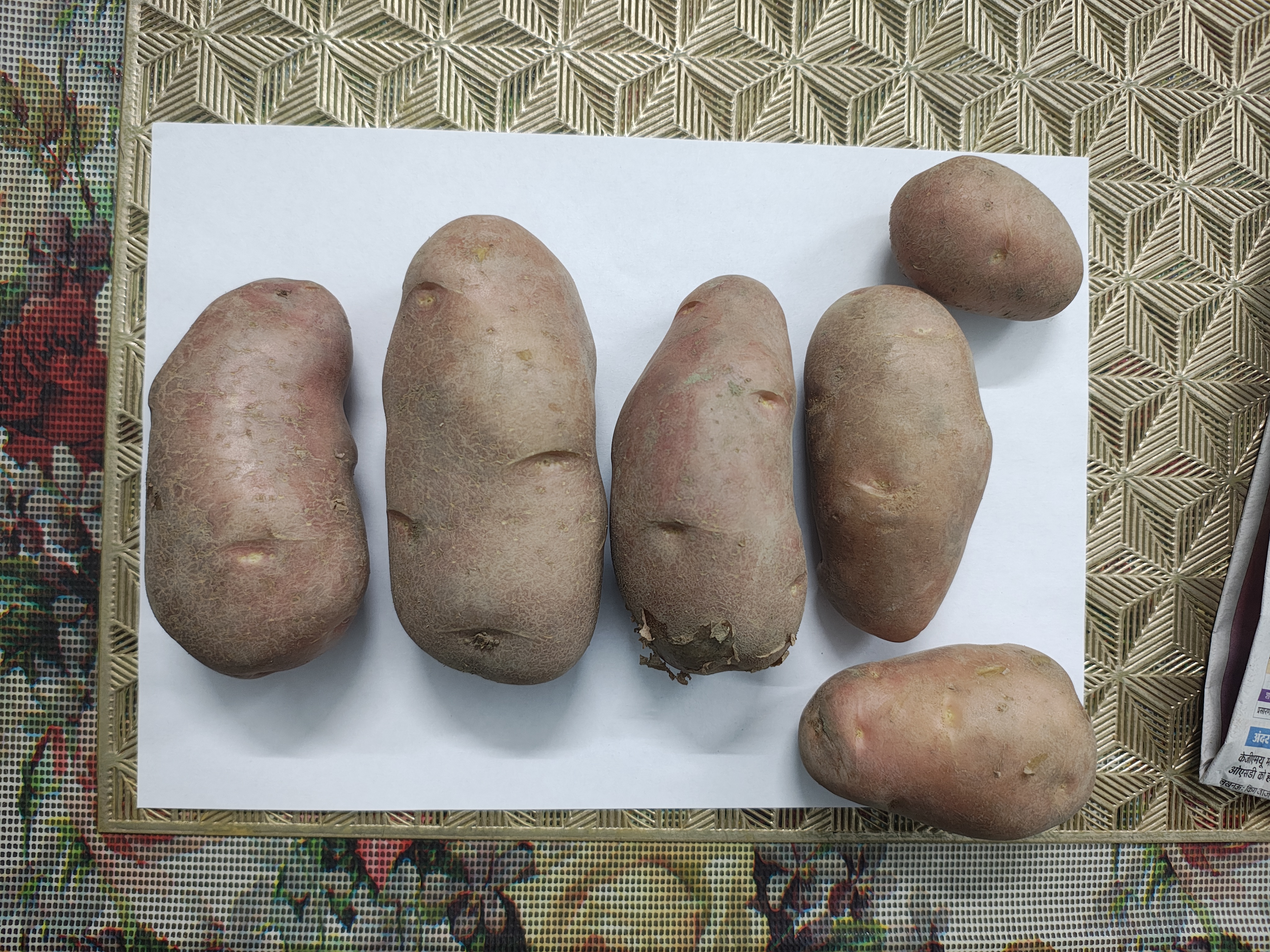 Potato